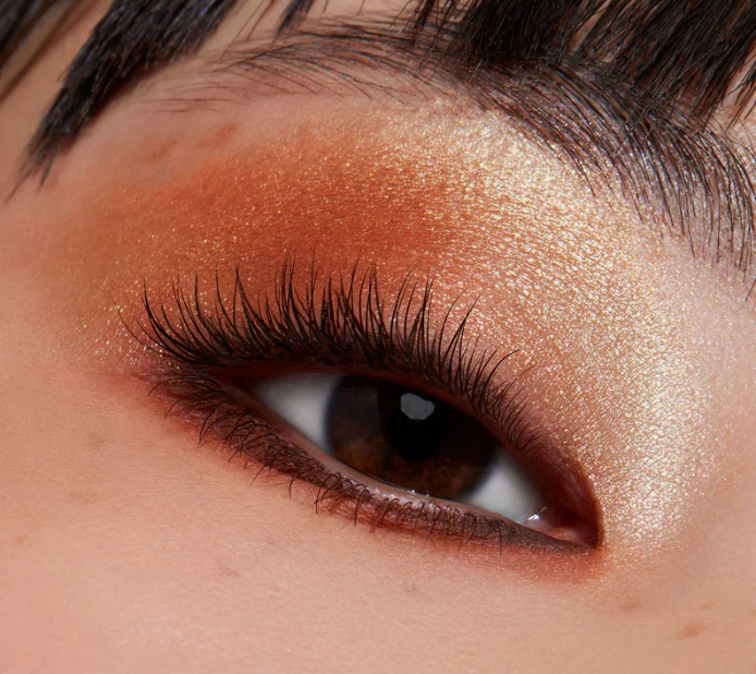 Paleta sombras Morphe 2 de Morphe